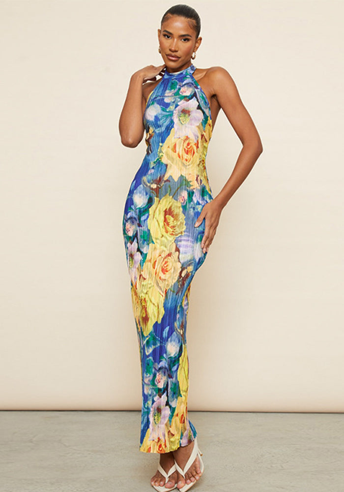 Women Summer Casual Print Sleeveless Backless Mesh Halter Neck Maxi Dress